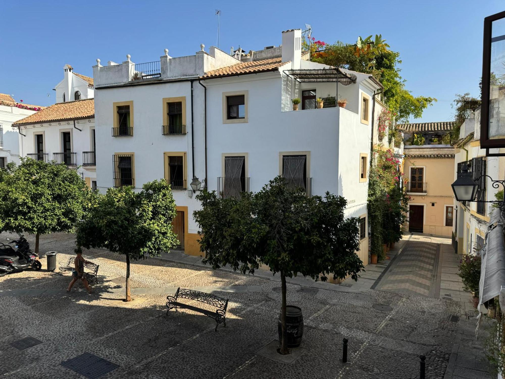 Apartamento La Abadesa De Córdoba Exteriör bild